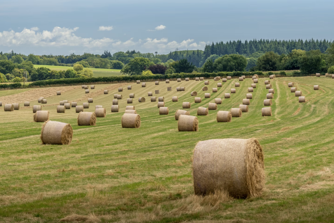 Farm Shop Vines Close Farm